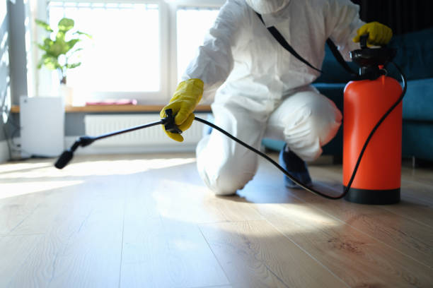 Reliable Odor Removal contractor in Knoxville, TN by Trauma Clean Pros